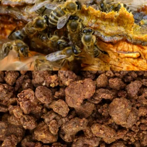 Raw Bee Propolis