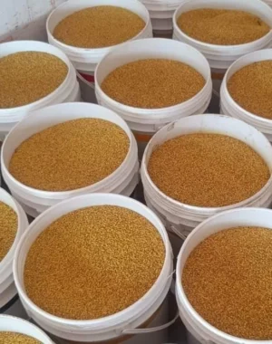 Multiflora Bee Pollen – Wild & Pure from Shivalik Forests - 15kg Bulk